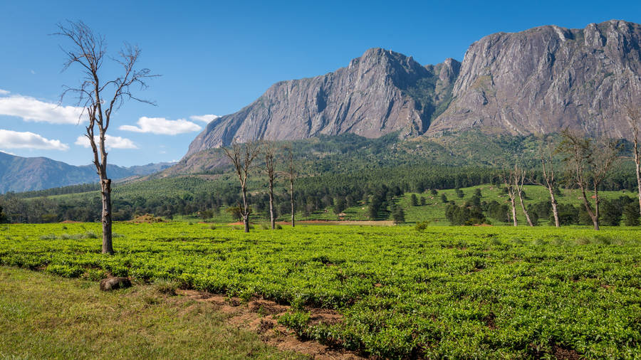 Malawi Rocky Plateaus Wallpaper