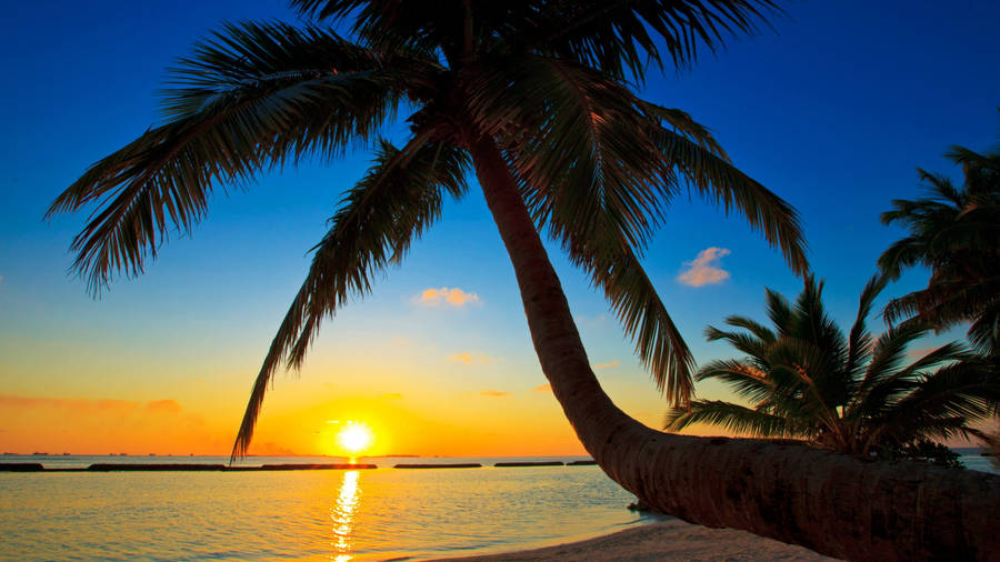 Maldives Golden Sunset Wallpaper