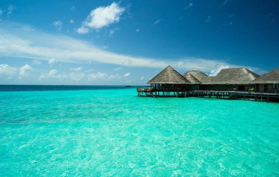 Maldives Turquoise Beach Water Wallpaper