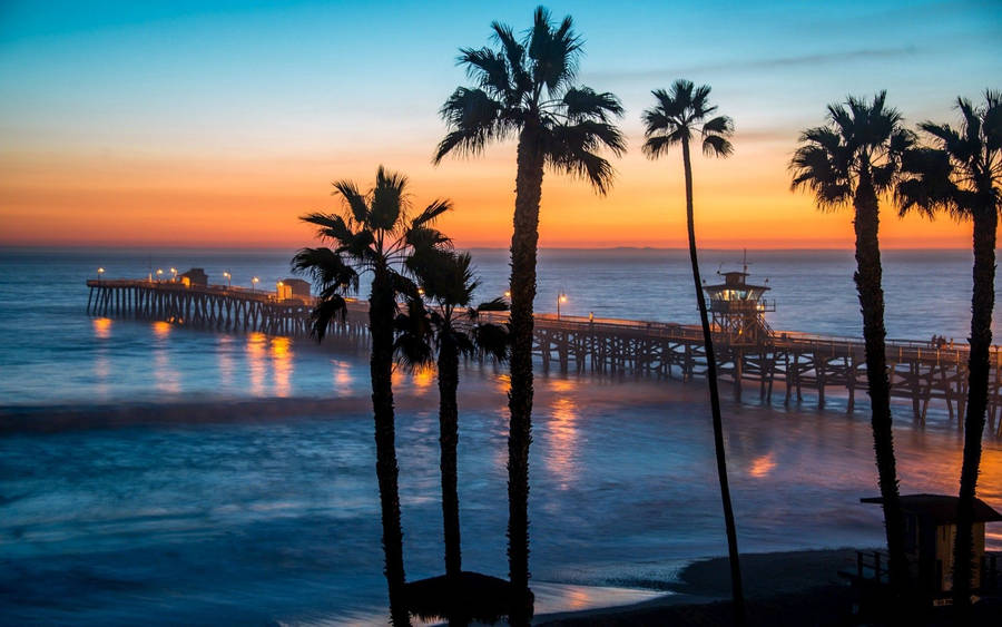 Malibu Palm Trees Wallpaper