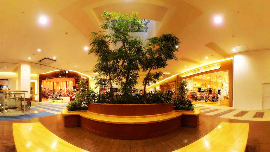 Mall With A Huge Plant Box Wallpaper