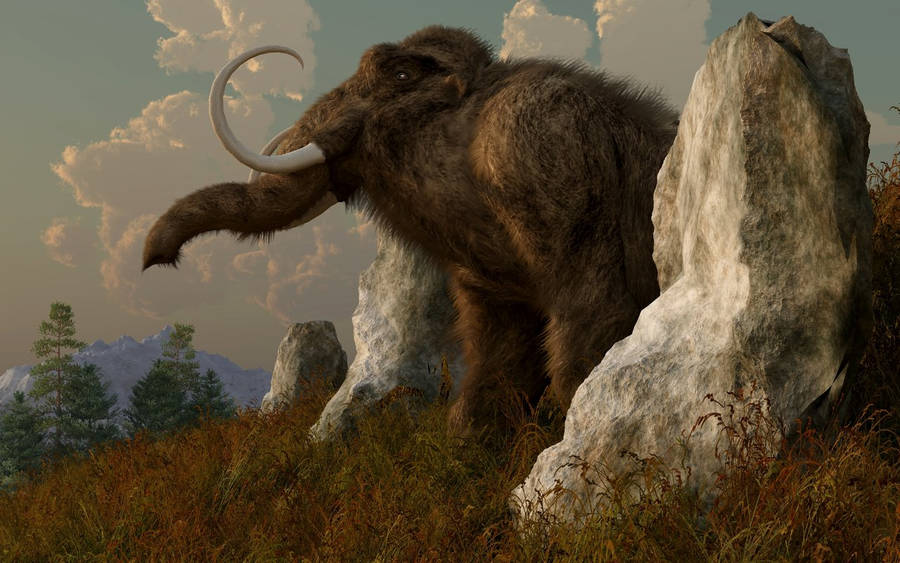 Mammoth In Between Rocks Wallpaper