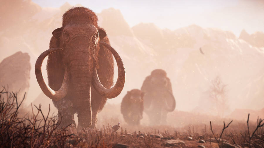 Mammoth In Dusty Terrain Wallpaper