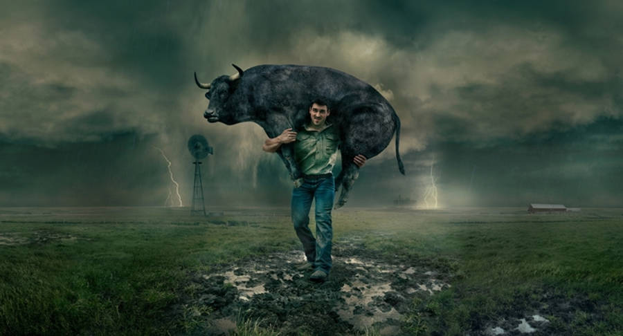 Man Carrying Buffalo Wallpaper