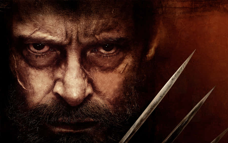 Man Face X-men Wolverine Wallpaper