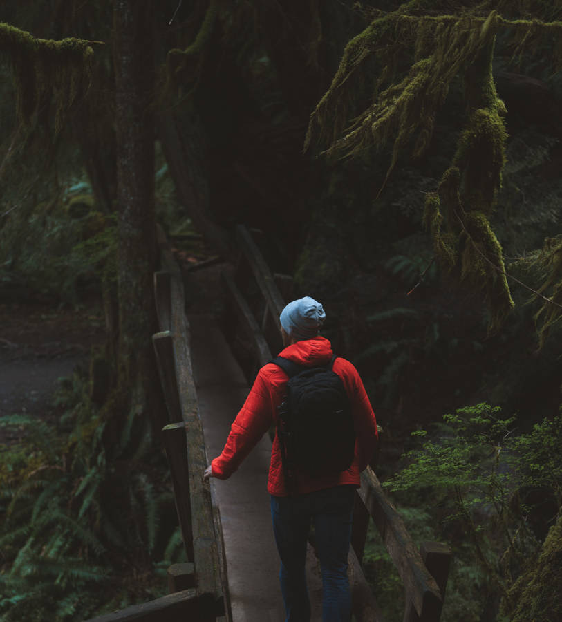 Man In Forest Alone Phone Background Wallpaper