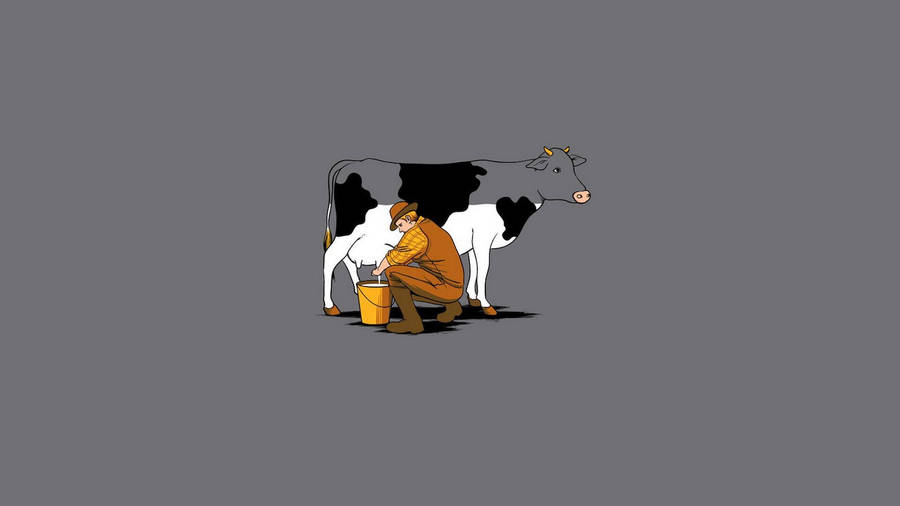 Man Milking Cute Cow And Draining Its Color Wallpaper