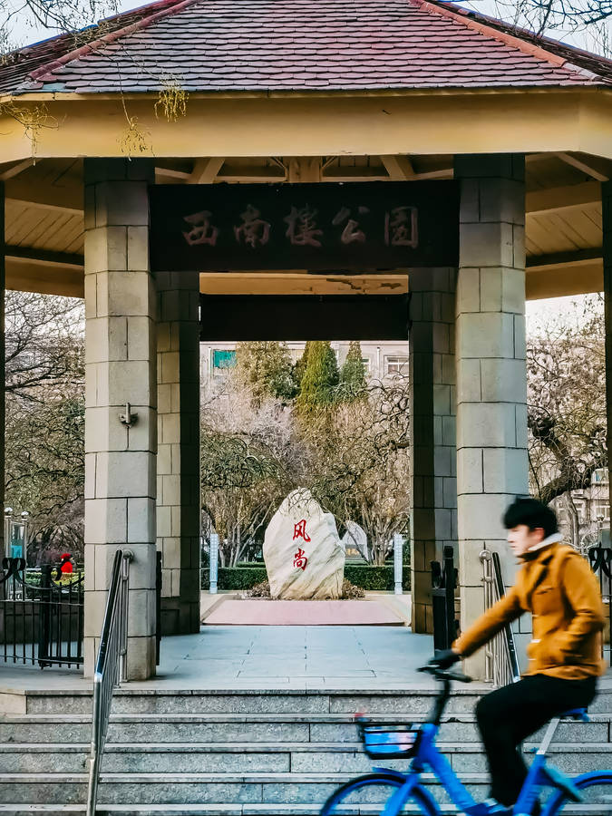 Man Riding A Bike Huawei Honor Wallpaper