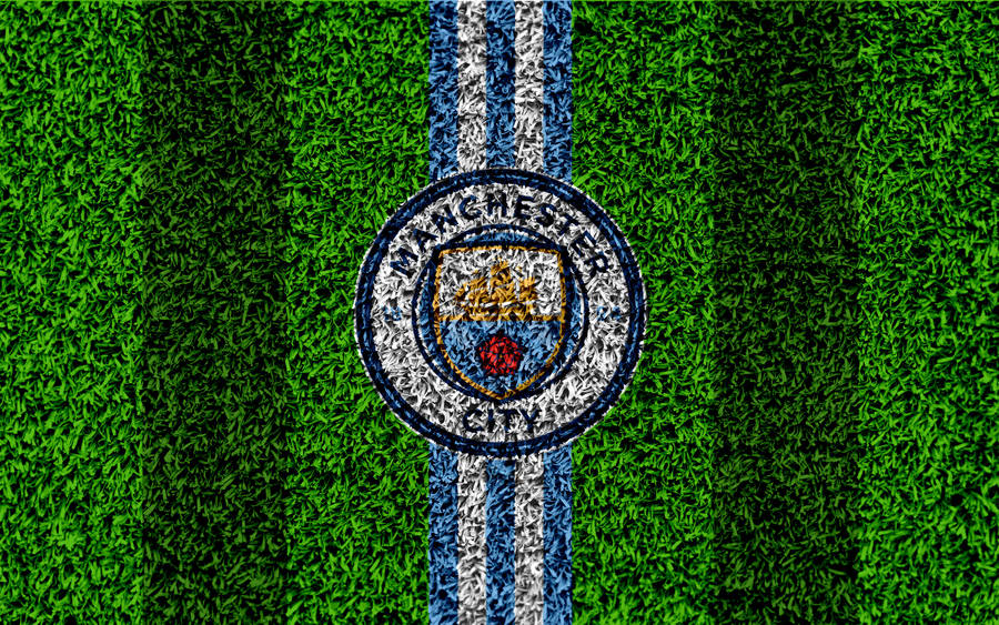 Manchester United Logo In Green Grass Wallpaper