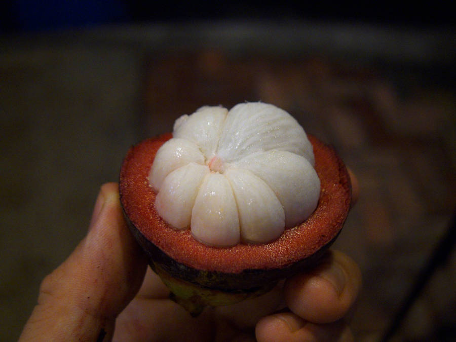 Mangosteen Ripe Fruit Seeds Wallpaper