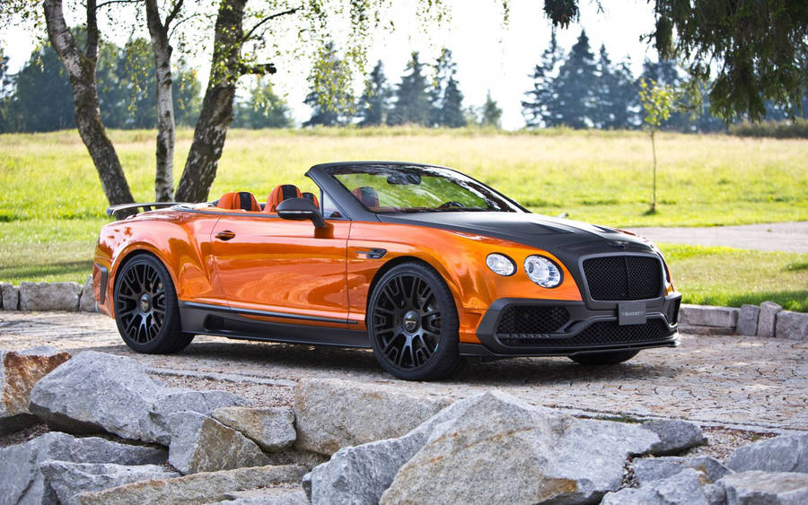 Mansory, Bentley, Continental, Gtc, Side View Wallpaper