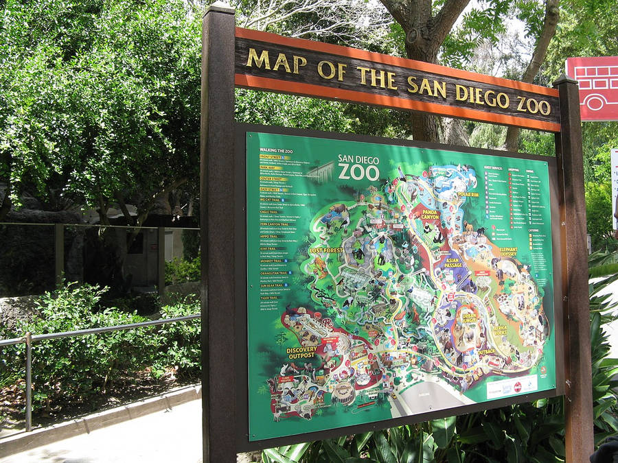 Map Of San Diego Zoo Wallpaper