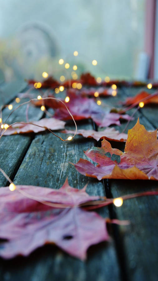 Maple Leaves And Lights Autumn Phone Wallpaper