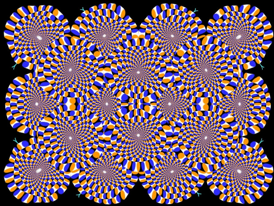 Mapped Fractals Cool Optical Illusions Wallpaper