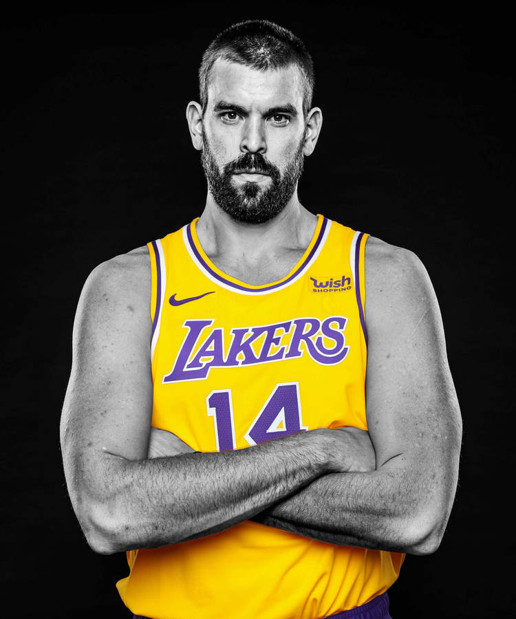 Marc Gasol Lakers Portrait Wallpaper