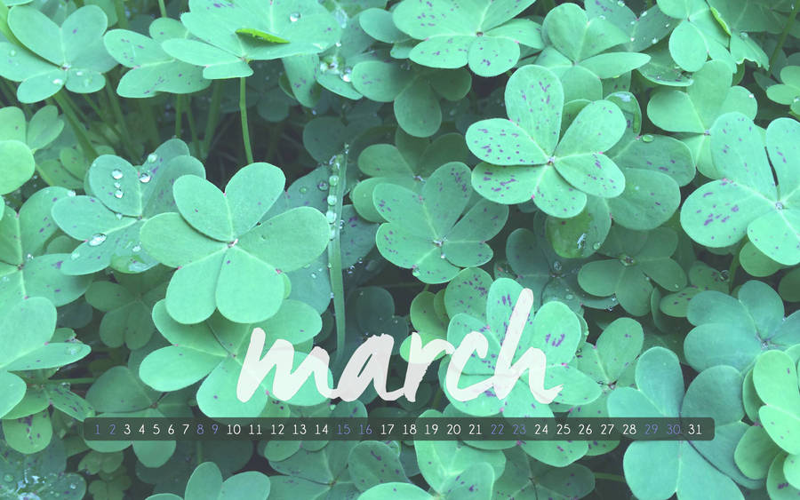 March With Clover Leaves Wallpaper