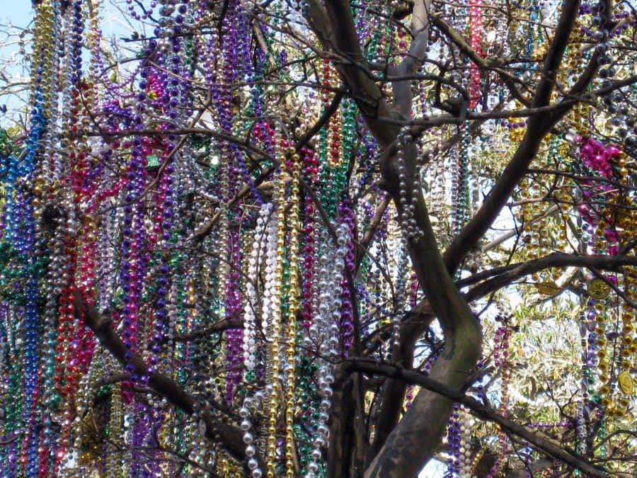 Mardi Gras Bead Design On Tree Wallpaper