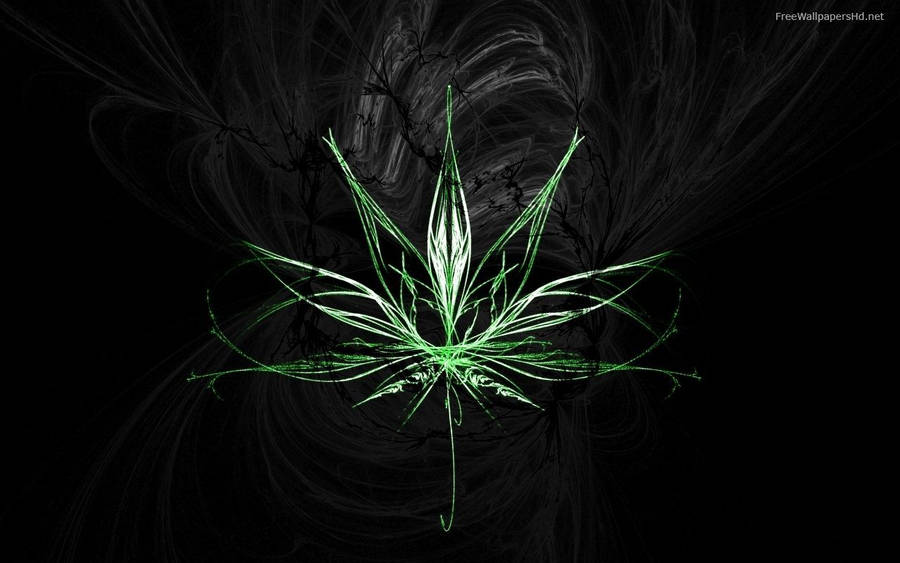 Marijuana Neon Line Art Wallpaper
