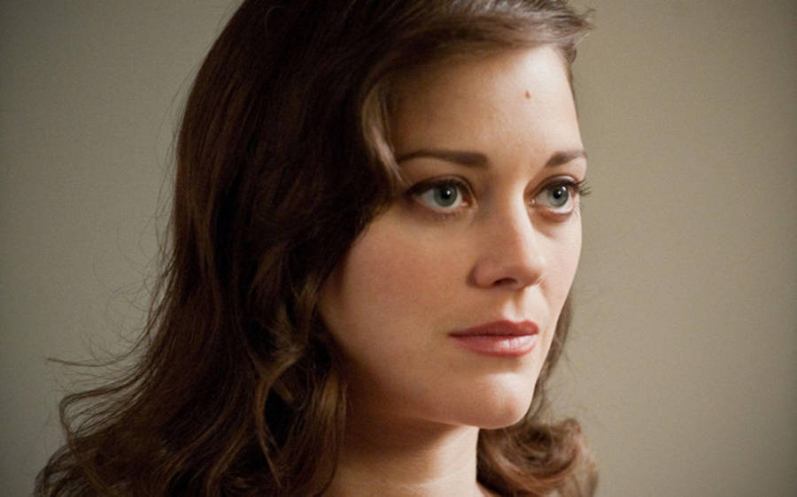 Marion Cotillard Brunette Hair Wallpaper