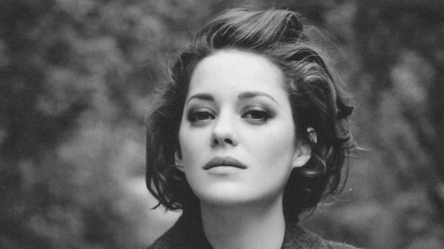 Marion Cotillard Gorgeous Hairstyle Wallpaper