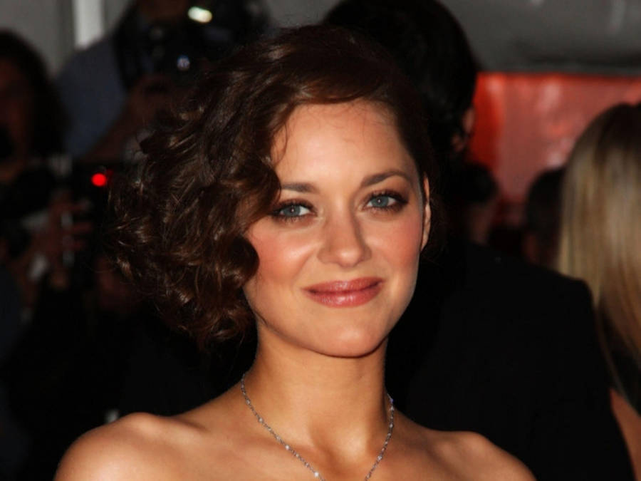 Marion Cotillard With Short Curly Hair Wallpaper