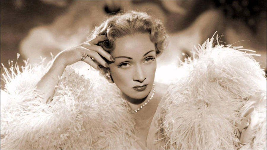 Marlene Dietrich Feather Dress Wallpaper