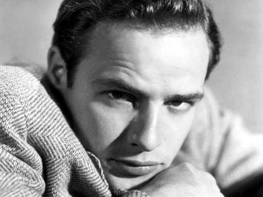 Marlon Brando Brush Up Hair Style Wallpaper