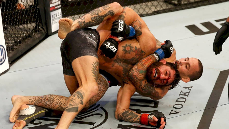 Marlon Vera Headlock Wallpaper