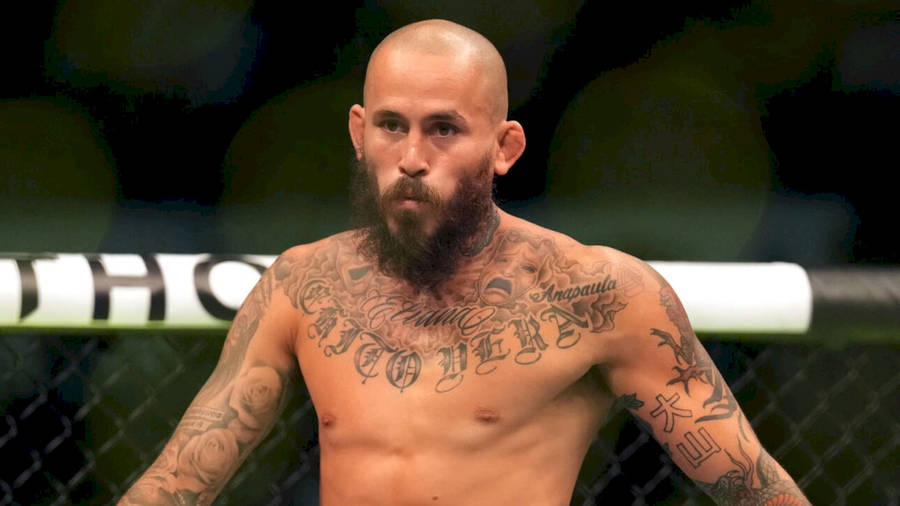 Marlon Vera Long Beard Wallpaper