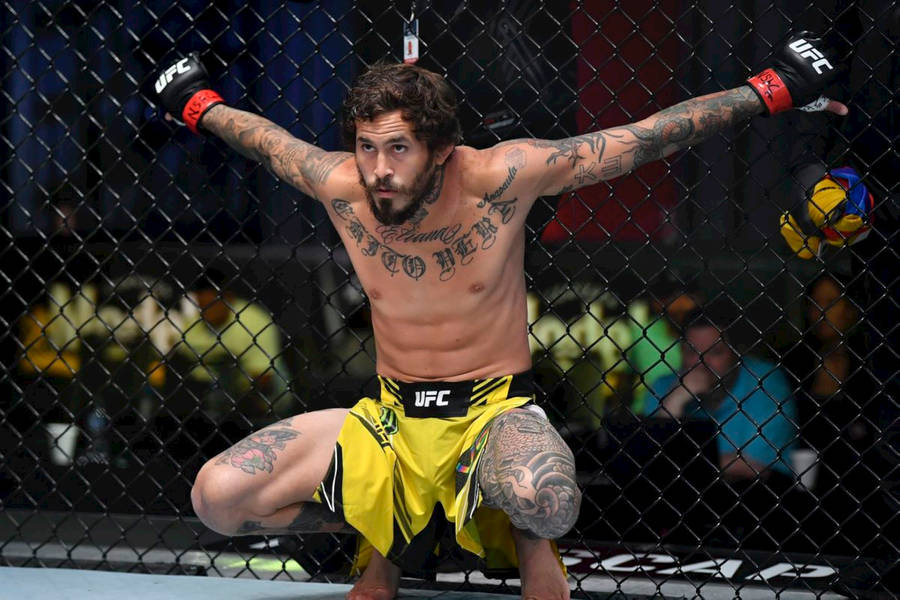 Marlon Vera Squat Shorts Wallpaper