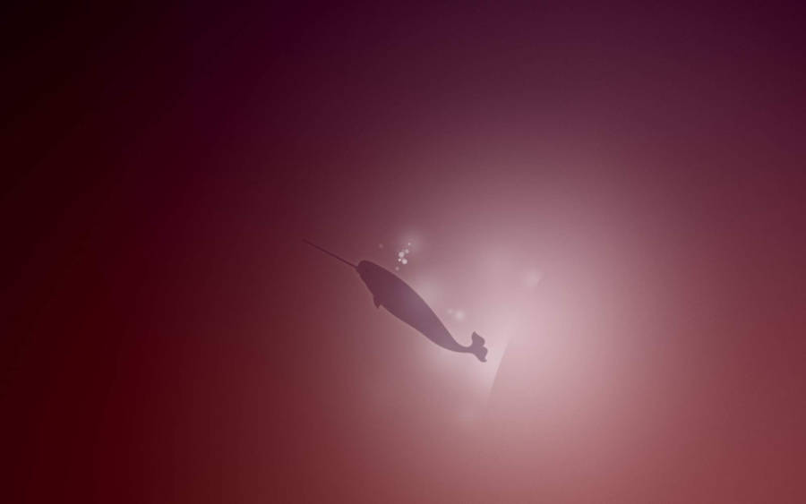 Maroon Narwhal Silhouette Wallpaper