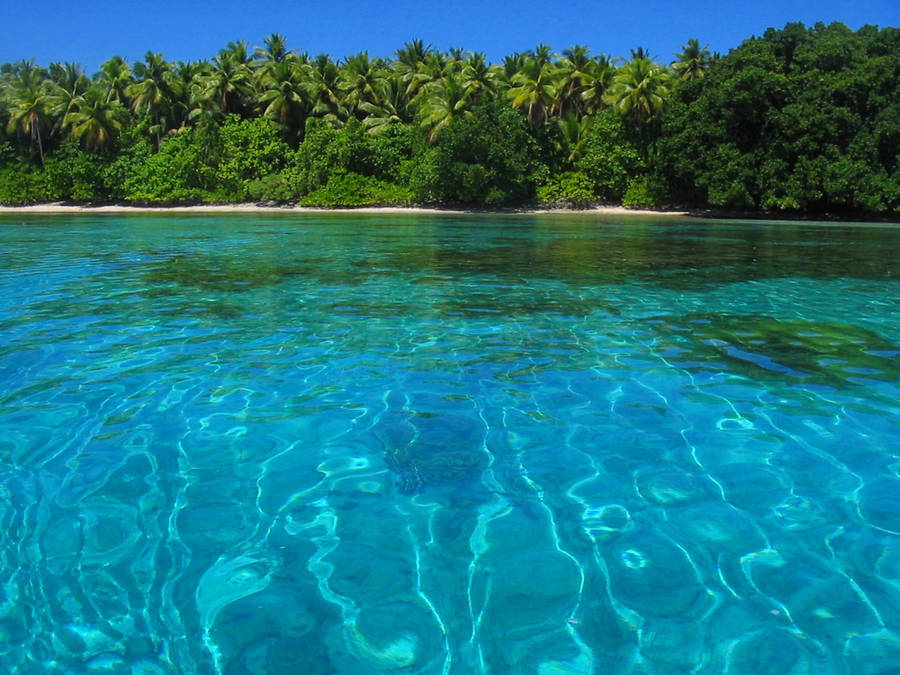 Marshall Islands Blue Green Sea Wallpaper