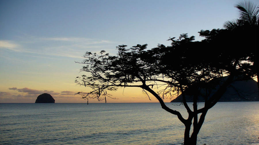 Martinique Island Caribbean Silhouette Wallpaper