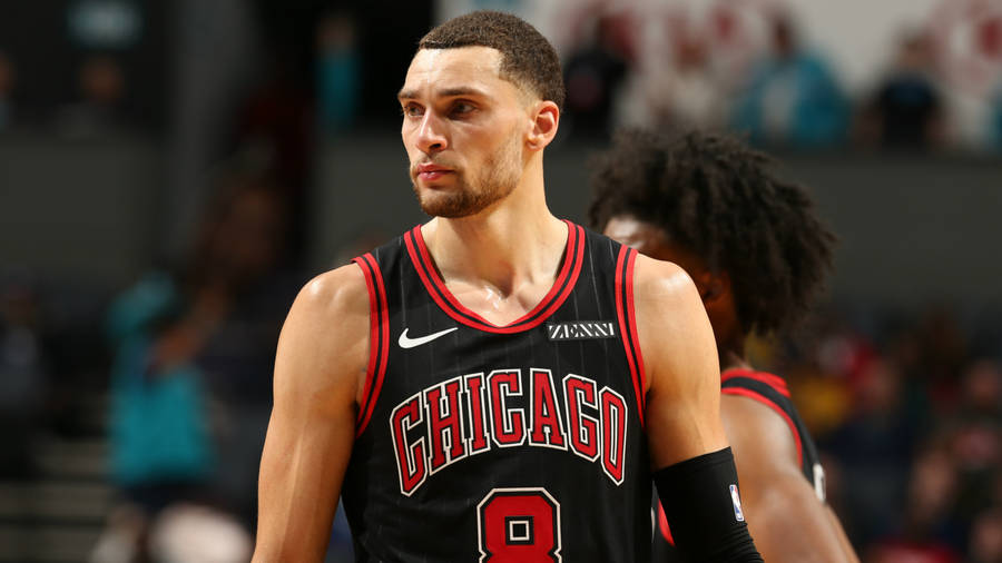 Masculine Zach Lavine Look Wallpaper