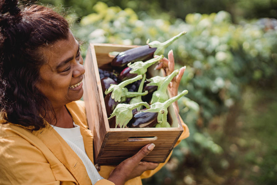 Mature Woman With A Box Of Fresh Eggplants Wallpaper