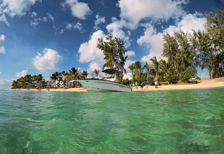 Mauritius Green Sea Wallpaper