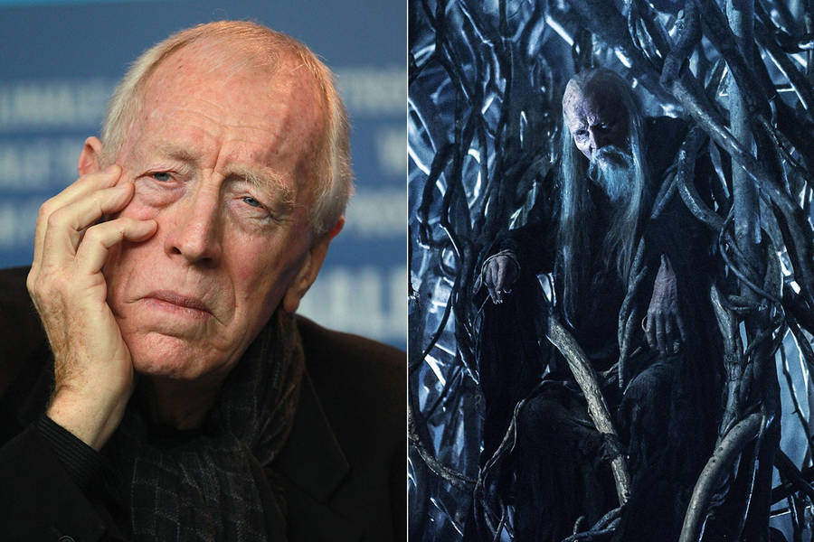 Max Von Sydow And Three-eyed Raven Wallpaper