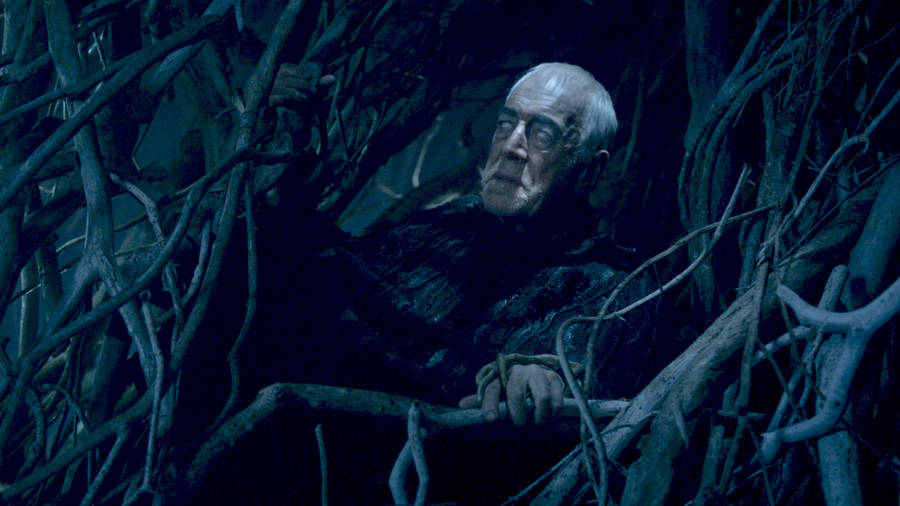 Max Von Sydow Holding Huge Root Wallpaper