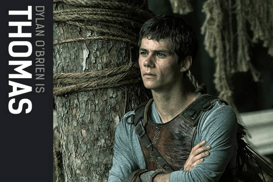 Maze Runner Dylan As Thomas Wallpaper