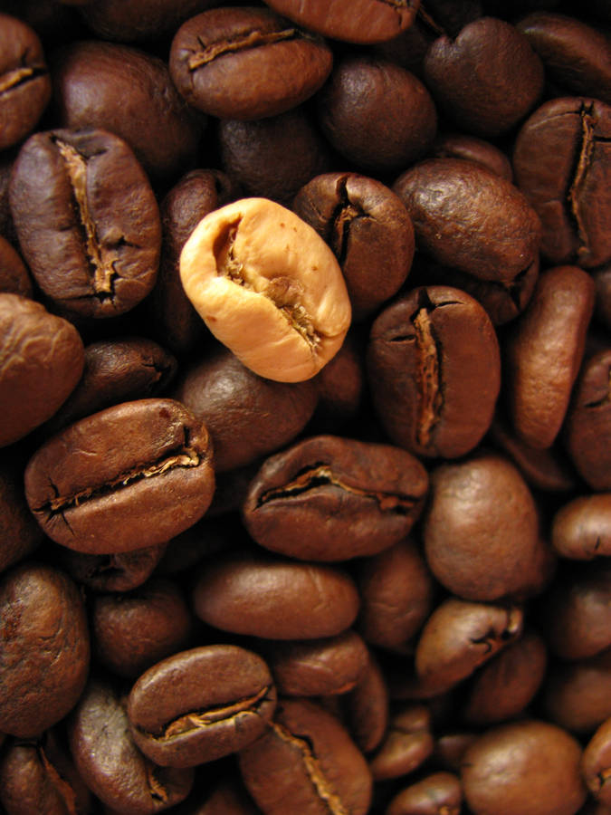 Medium Roast Coffee Beans Wallpaper