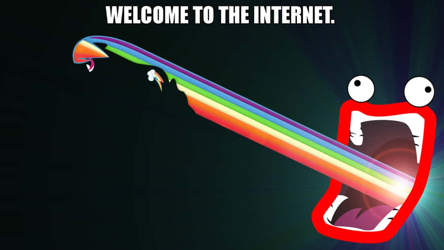 Meme Wallpaper To Keep You Laughing Wallpaper