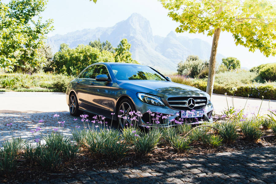 Mercedes Benz In Nature Wallpaper