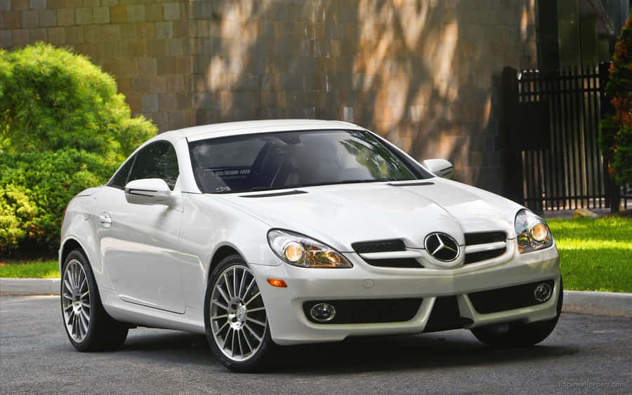 Mercedes Benz White 2010 Slk Class Wallpaper