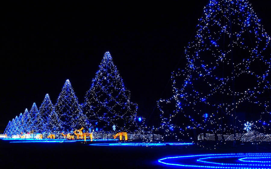 Merry Christmas Tree Lights Wallpaper