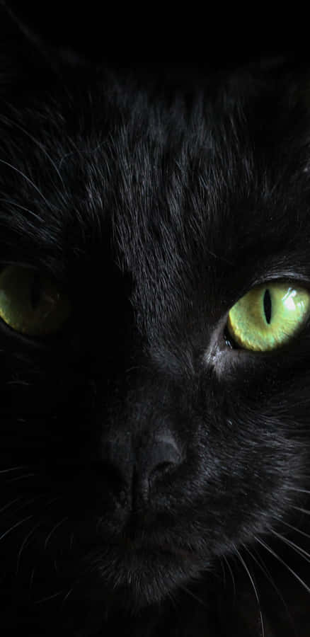 Mesmerizing Green Eyes Of A Black Cat Wallpaper