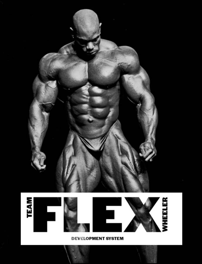 Mesomorphic Flex Wheeler Wallpaper