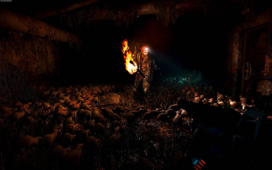 Metro Last Light Rats Wallpaper