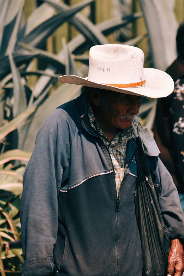 Mexican Man Old For Phone Wallpaper