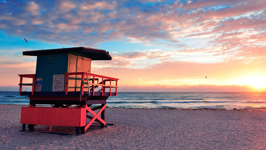 Miami Beach With Lifeguard Post Wallpaper