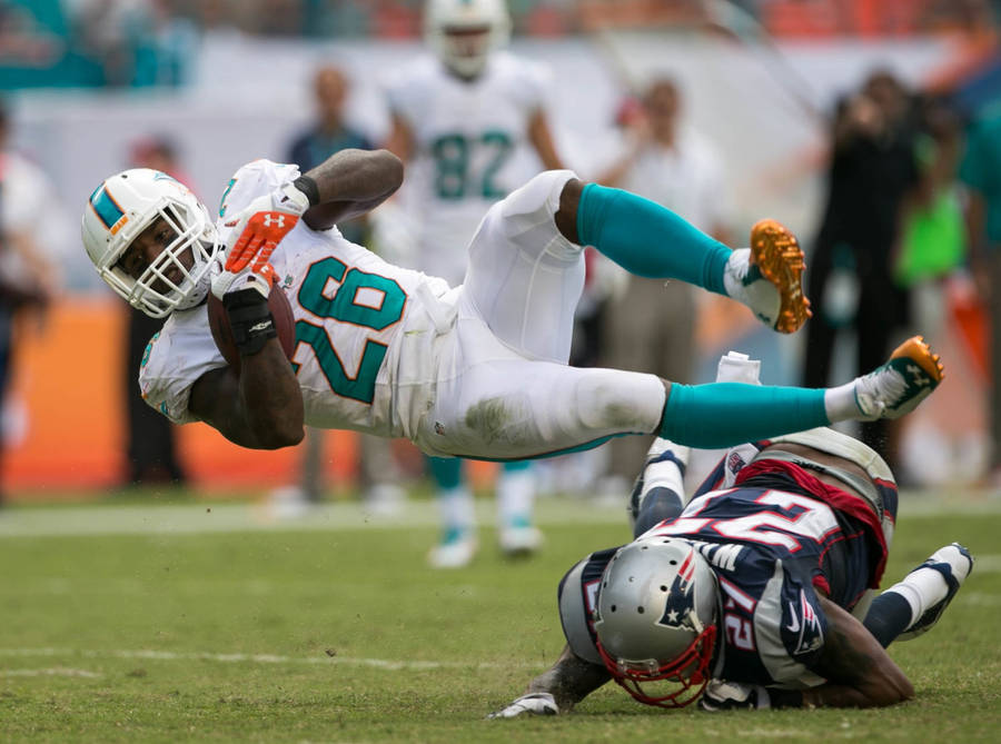 Miami Dolphins Gibril Wilson Catch Wallpaper